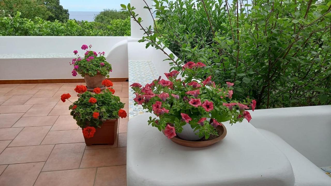 Agriturismo Solemare Stromboli Exterior photo